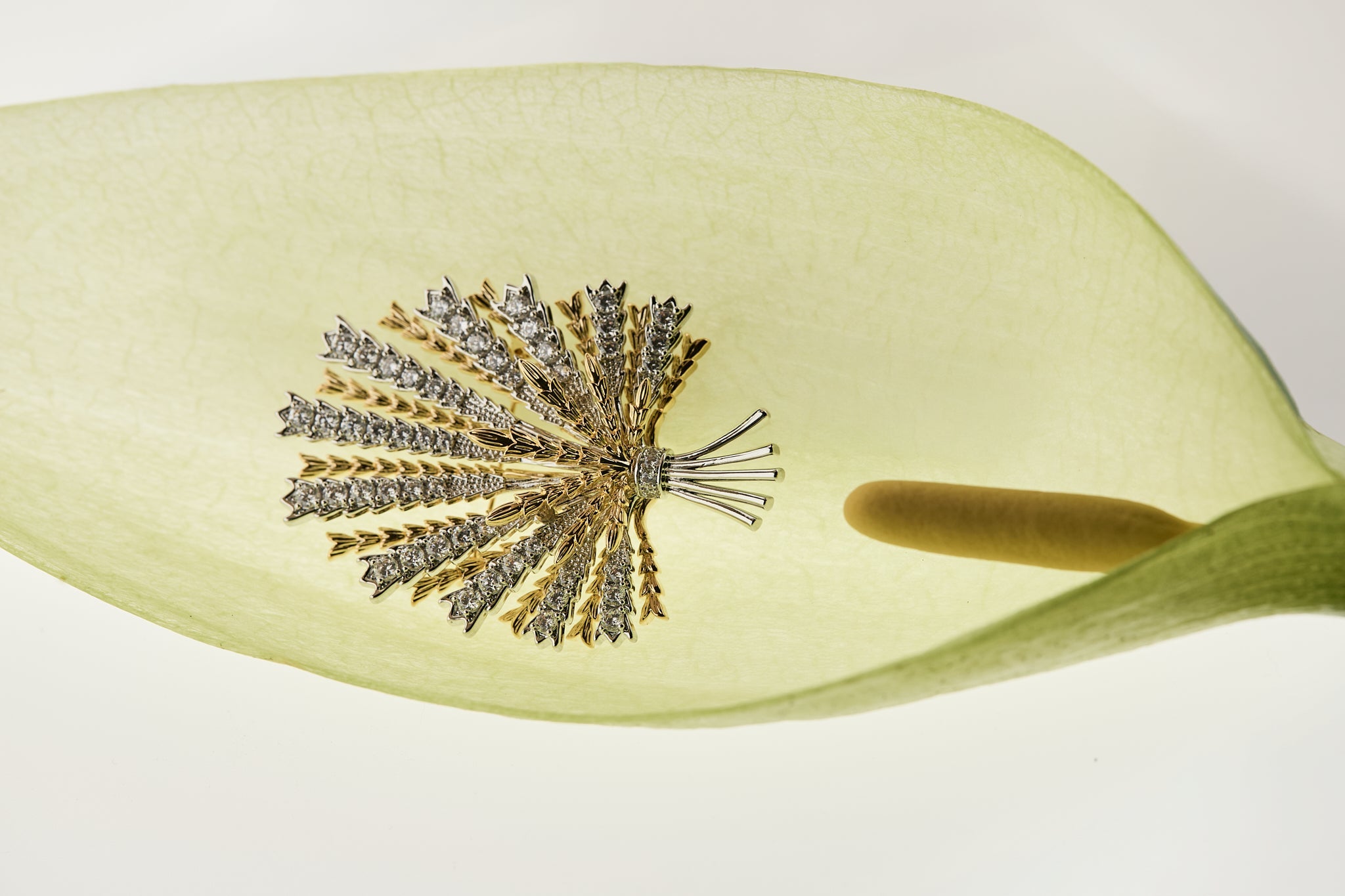 Brooches