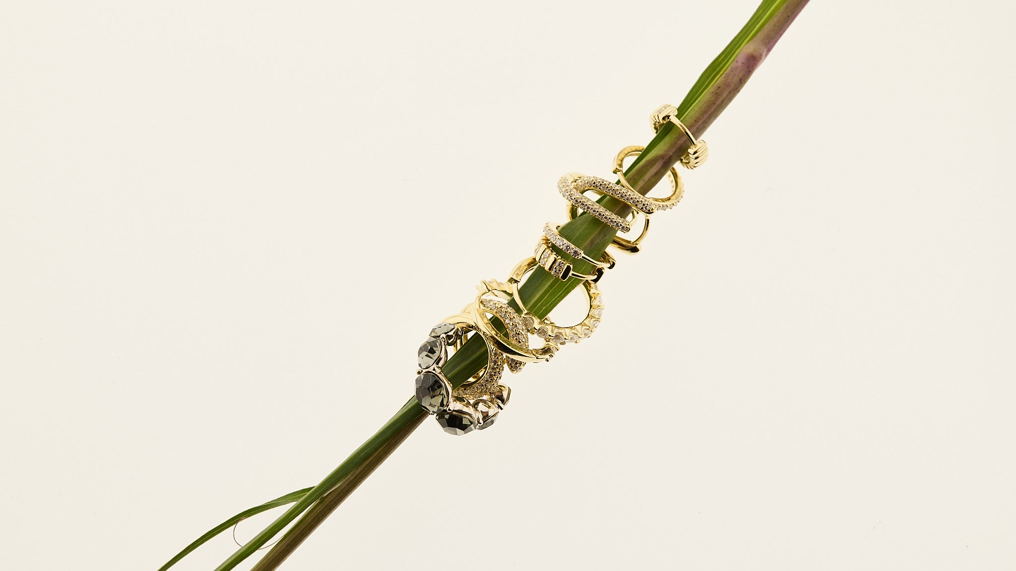 New In
