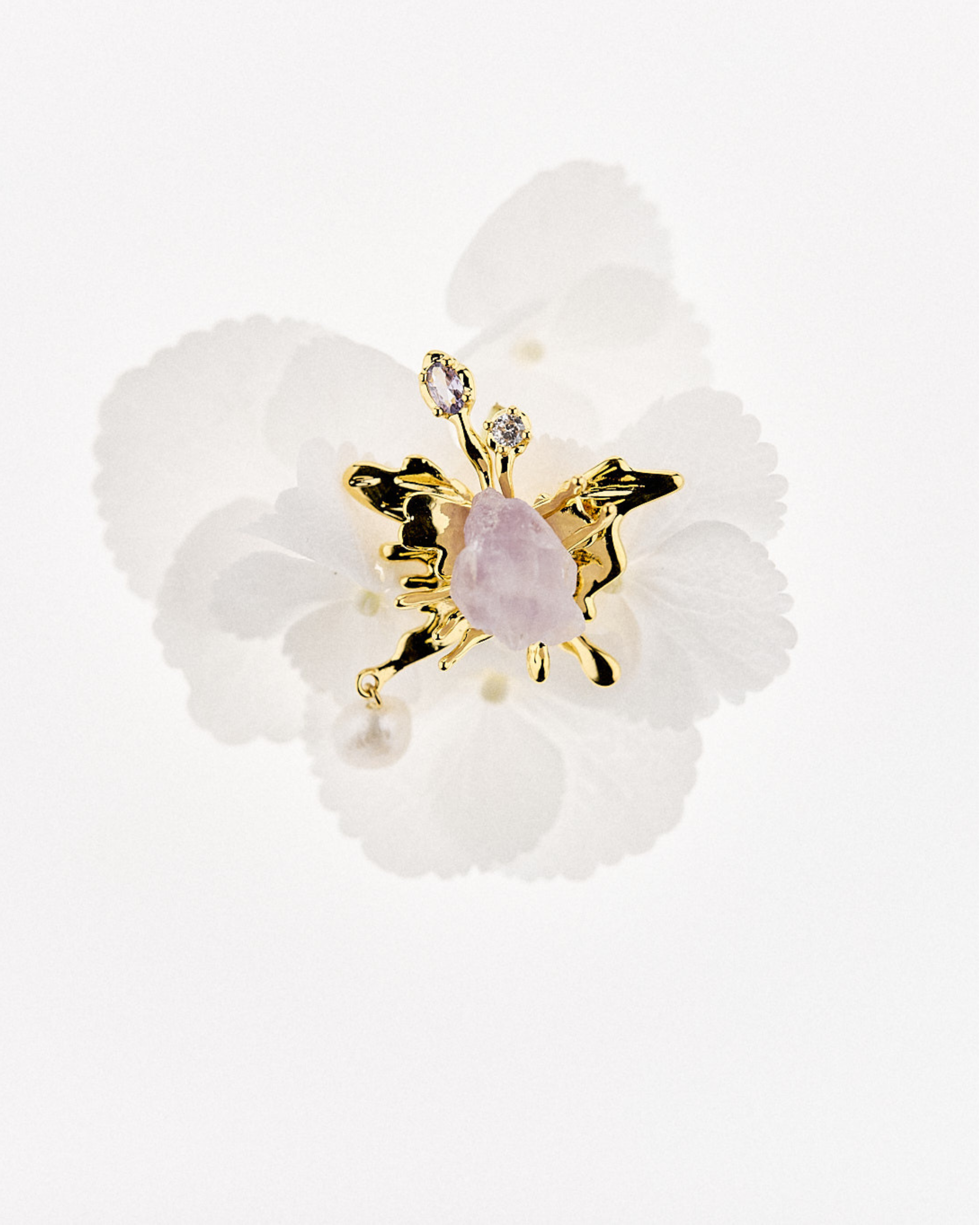 Papillon d'Améthyste