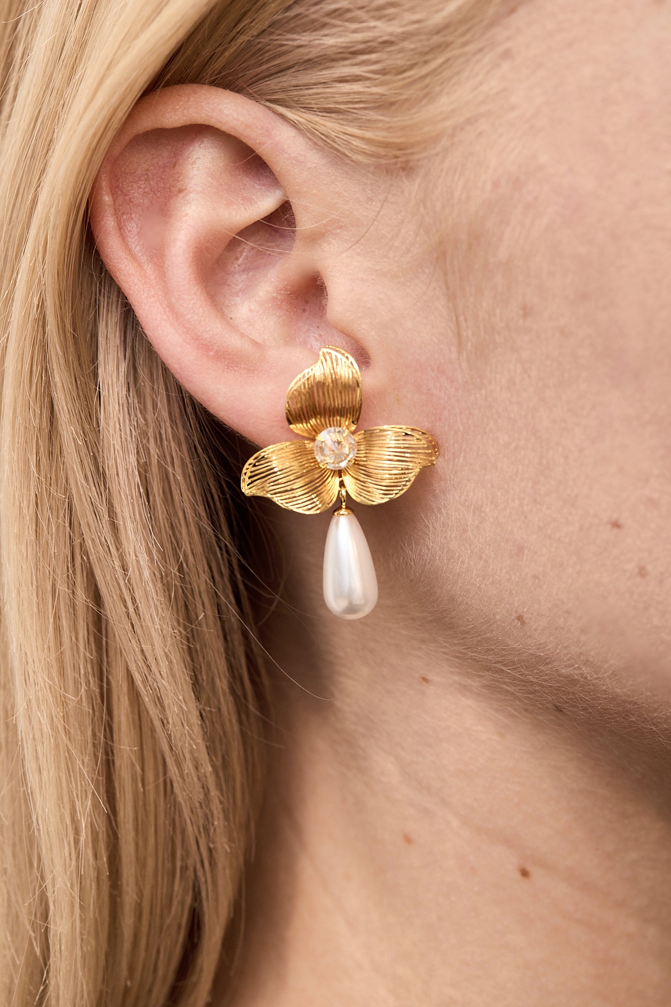 Éclat d’Orchidée