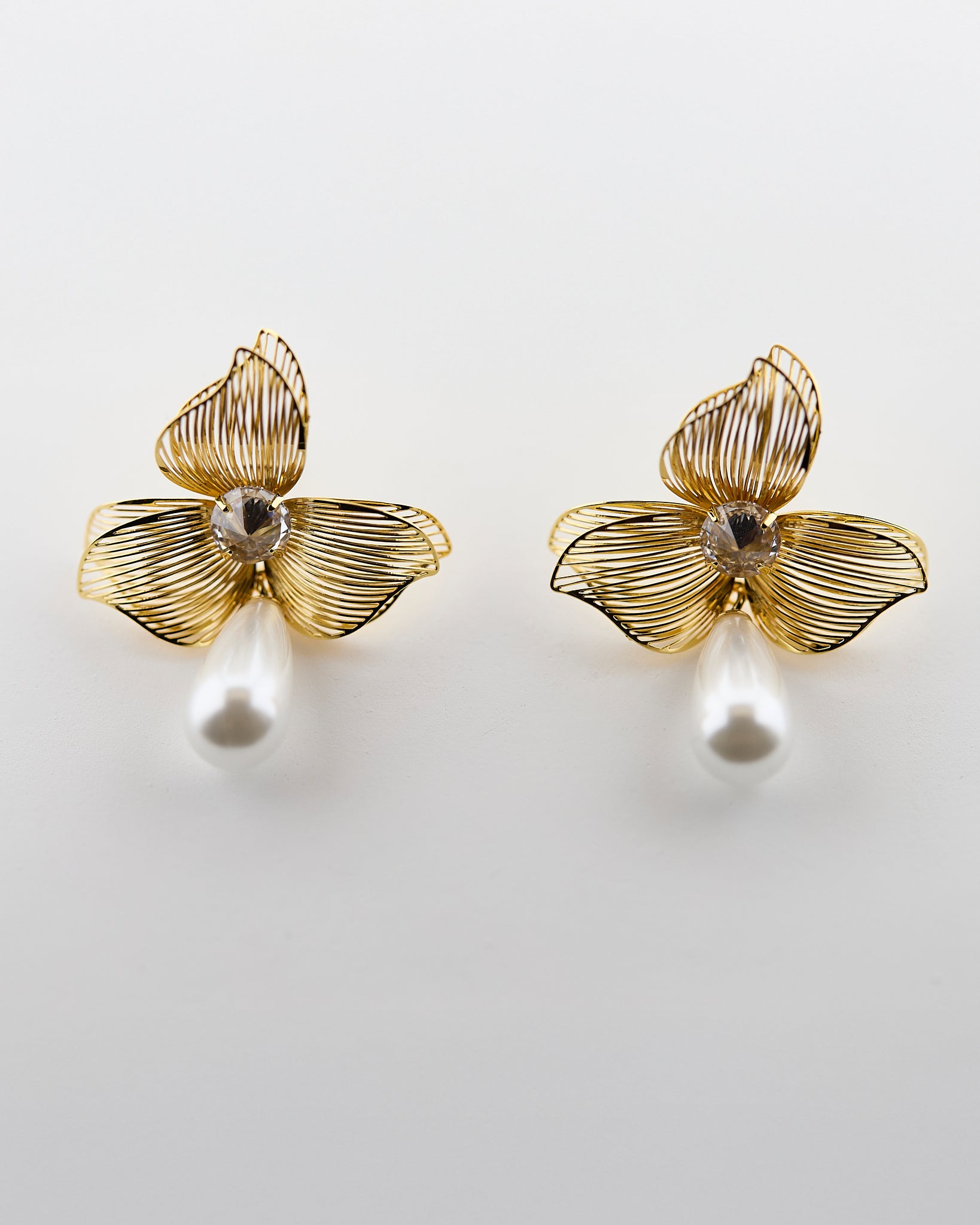 Éclat d’Orchidée