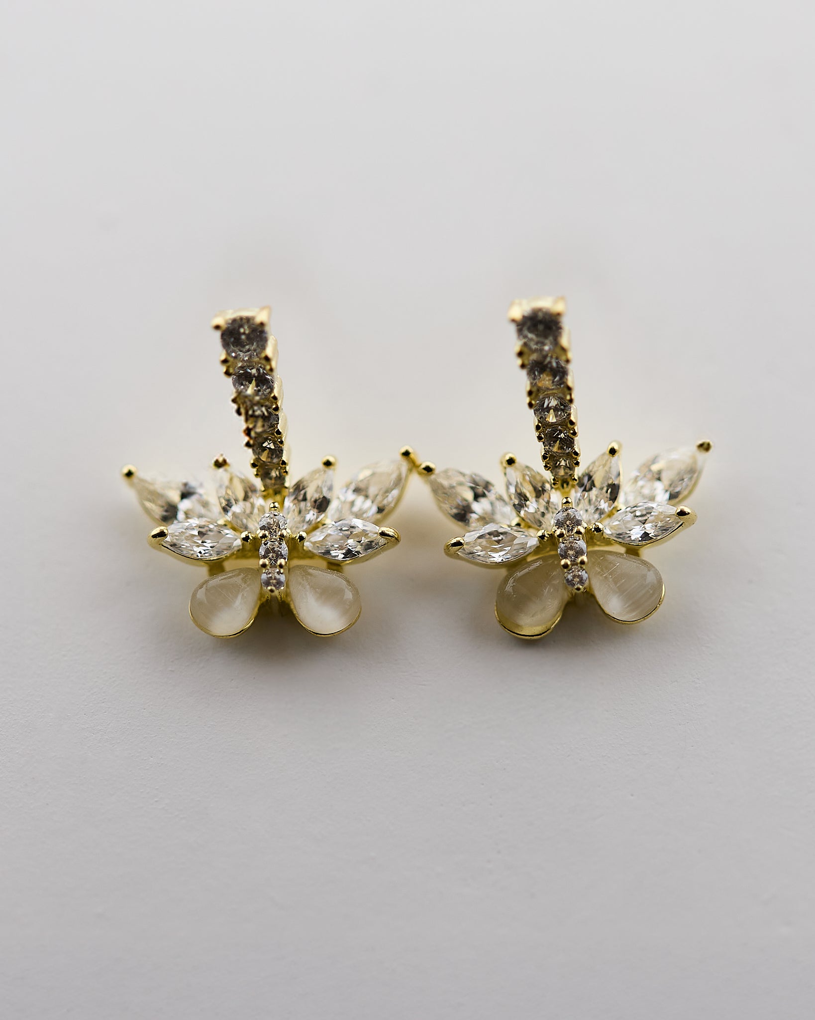 Feuilles de Givre à l’Aurore