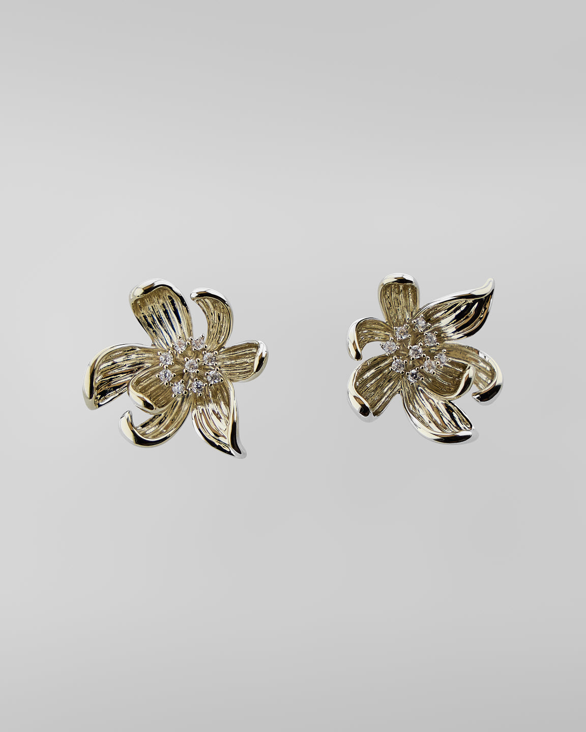 Fleur de Frangipanier