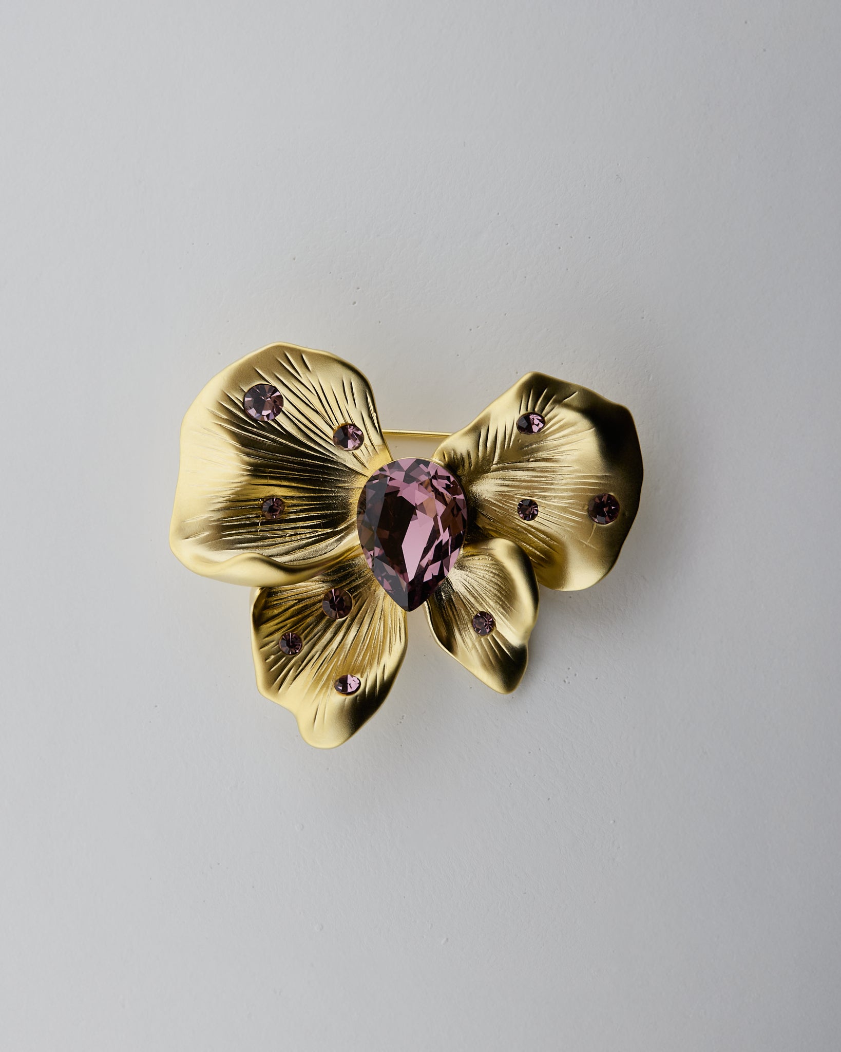 Papillon des Lumières