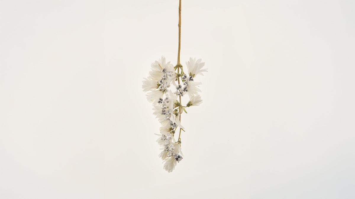 Silver-plated Collection
