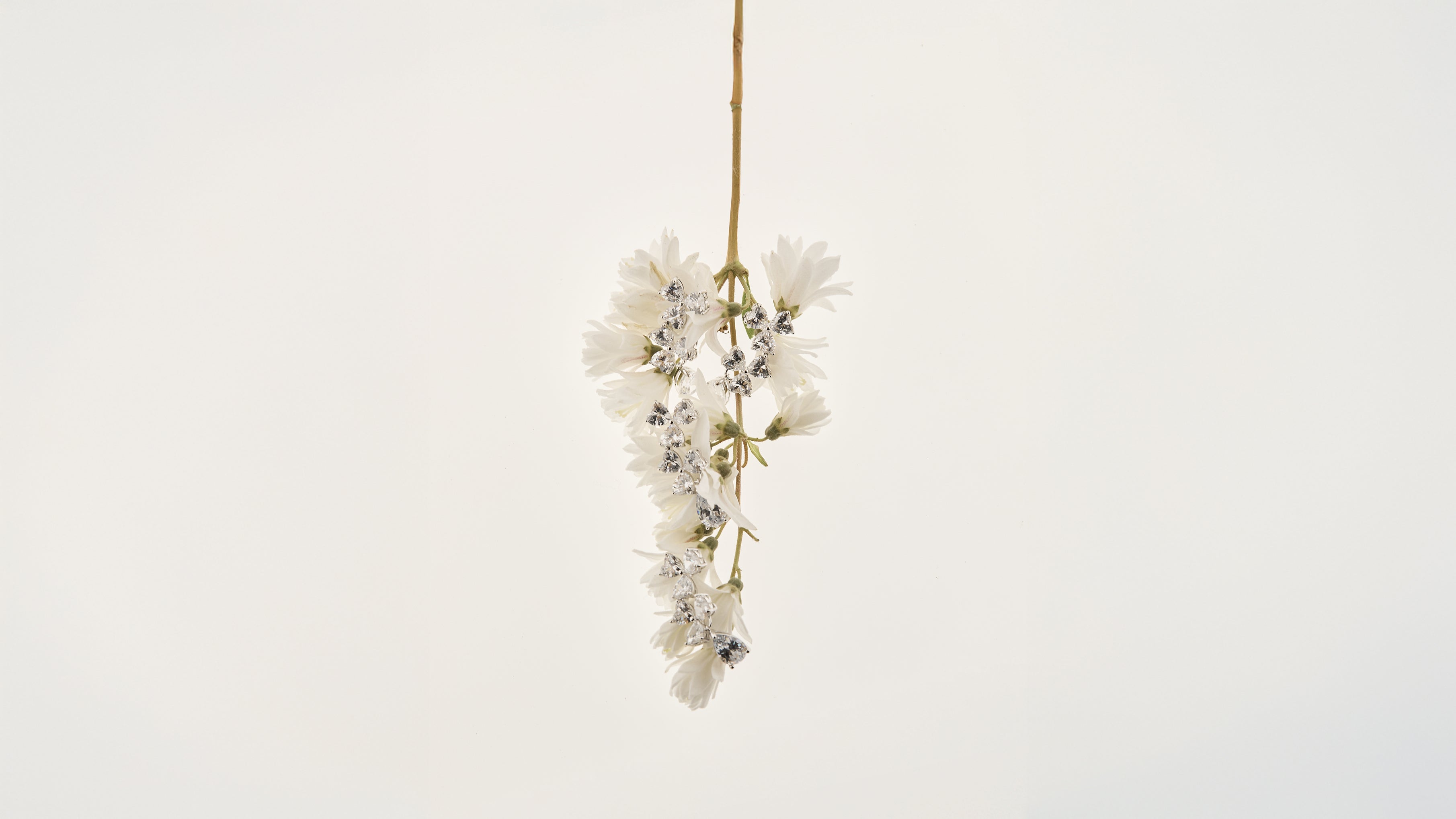 Silver-plated Collection