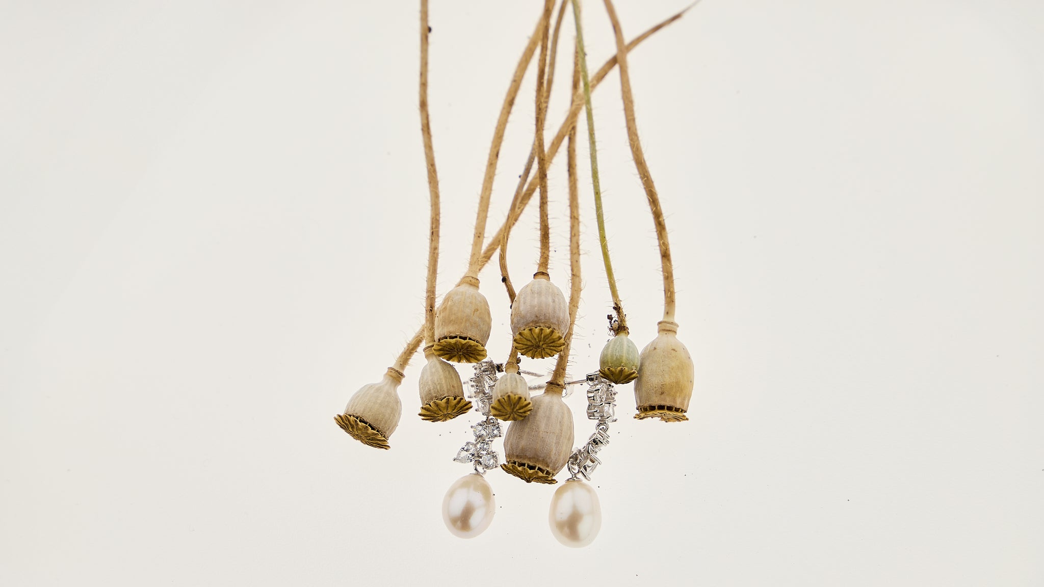 Pearls Collection