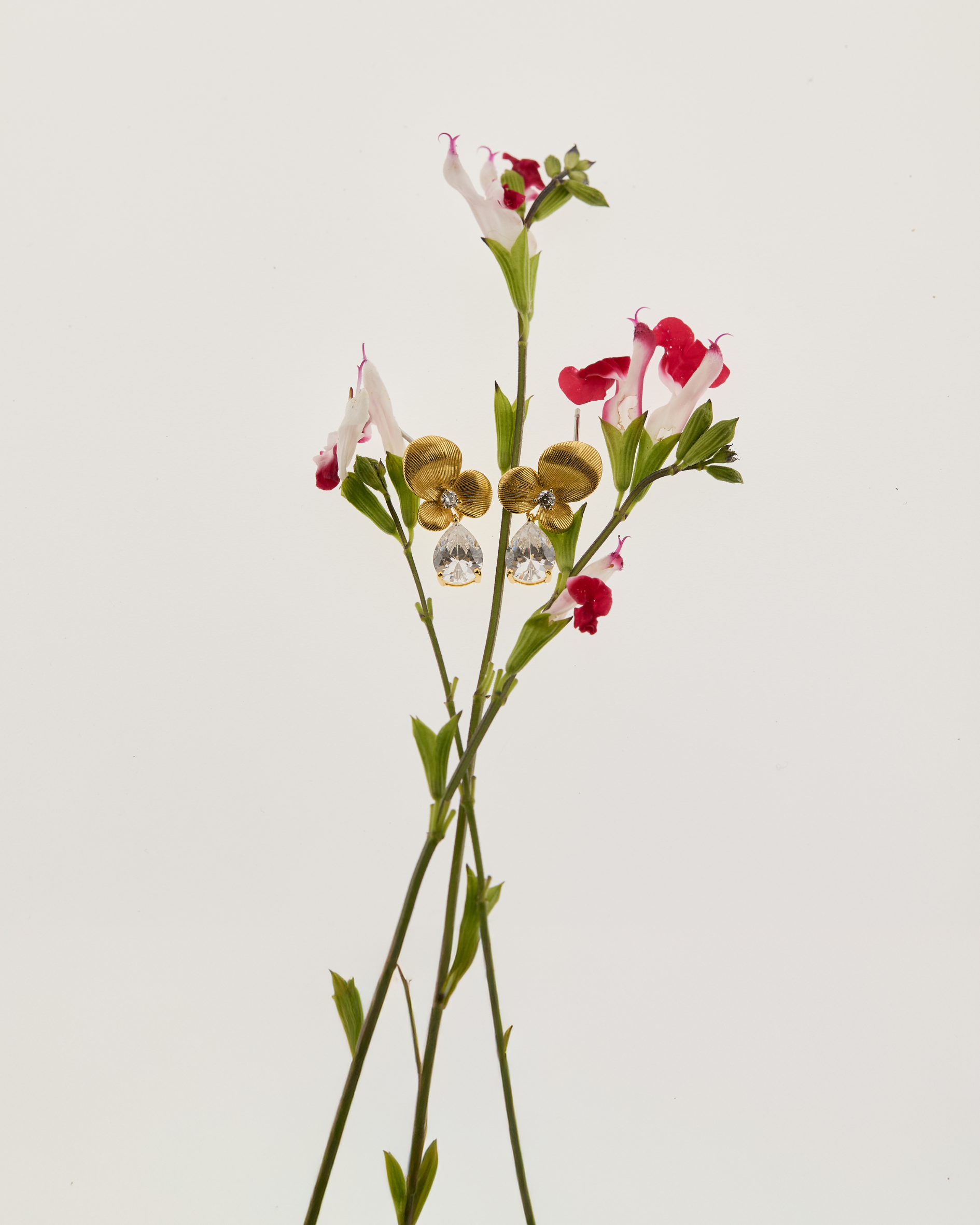 Fleur Solstice