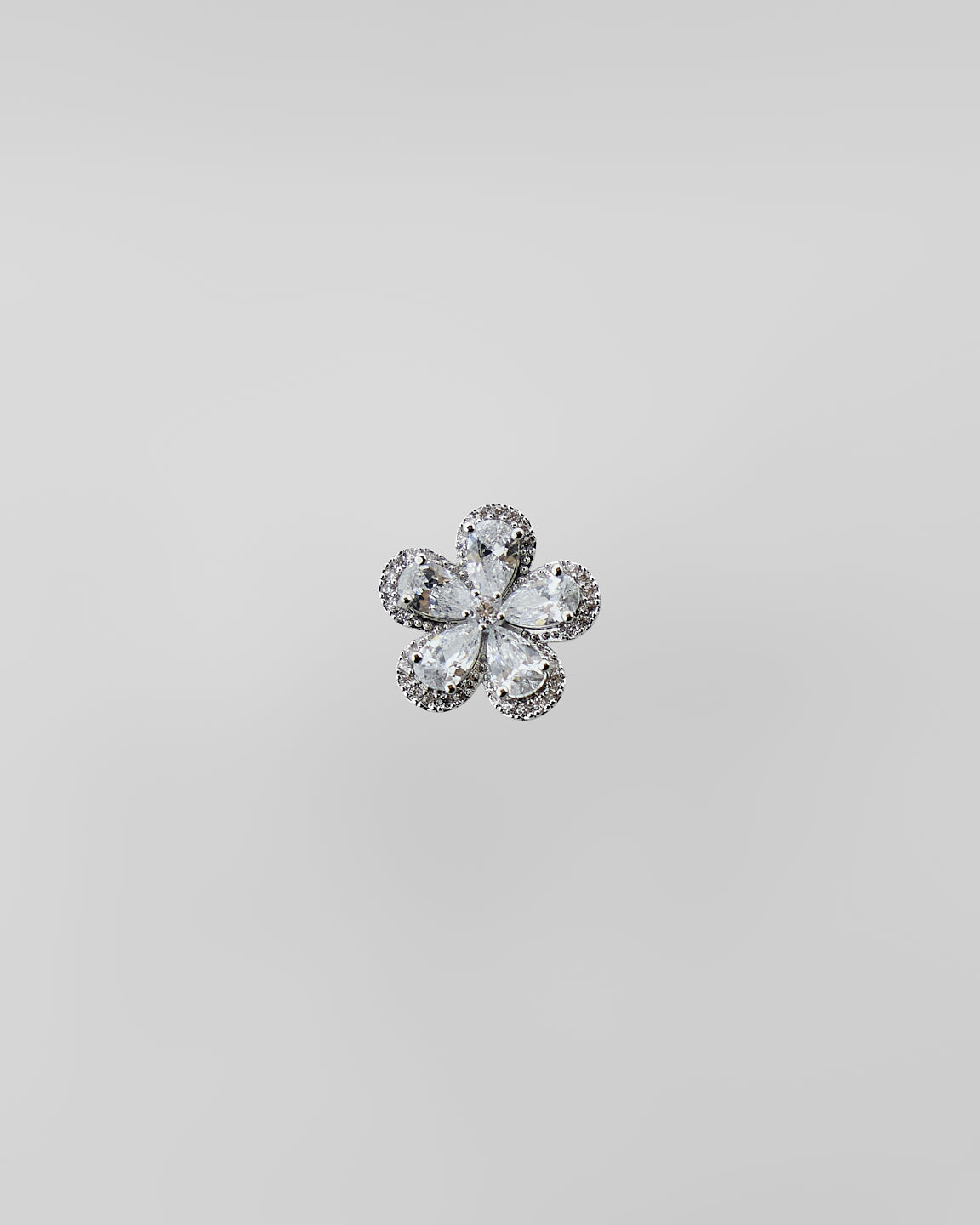Clématite d'Hiver