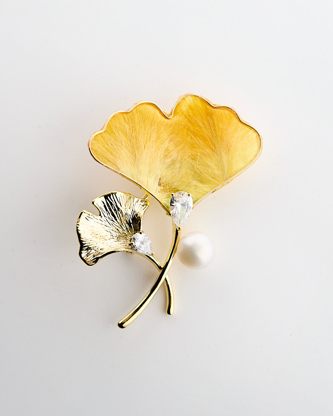 Feuille de Ginkgo Brillante