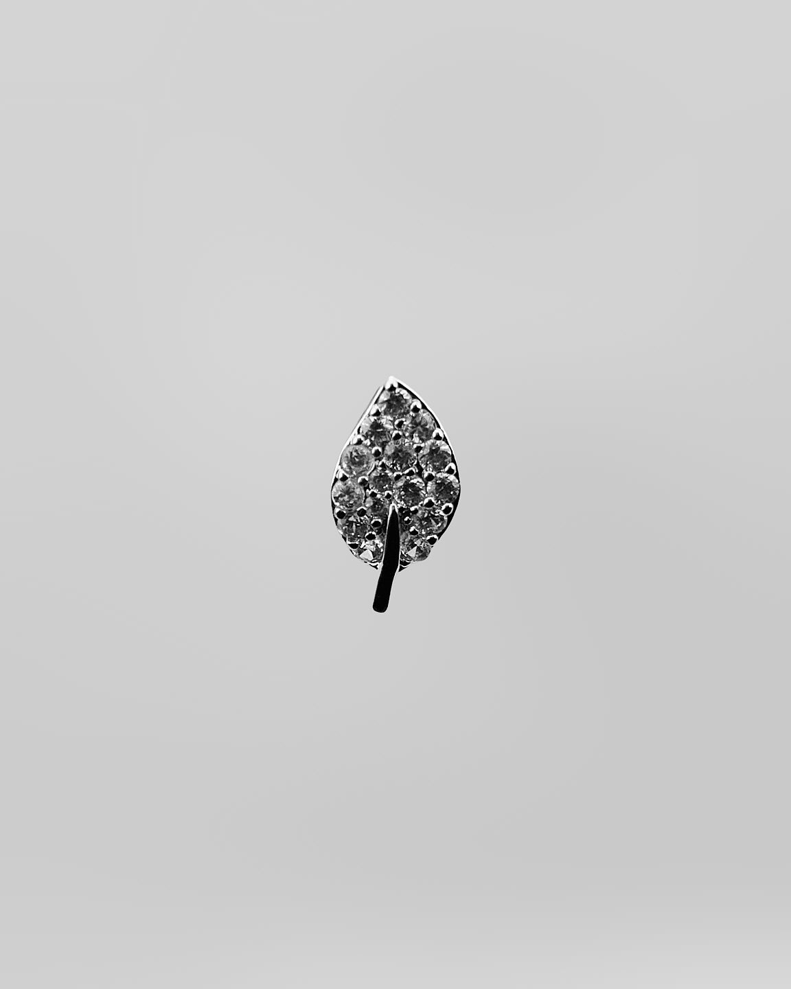 Feuille de Myrte Lune