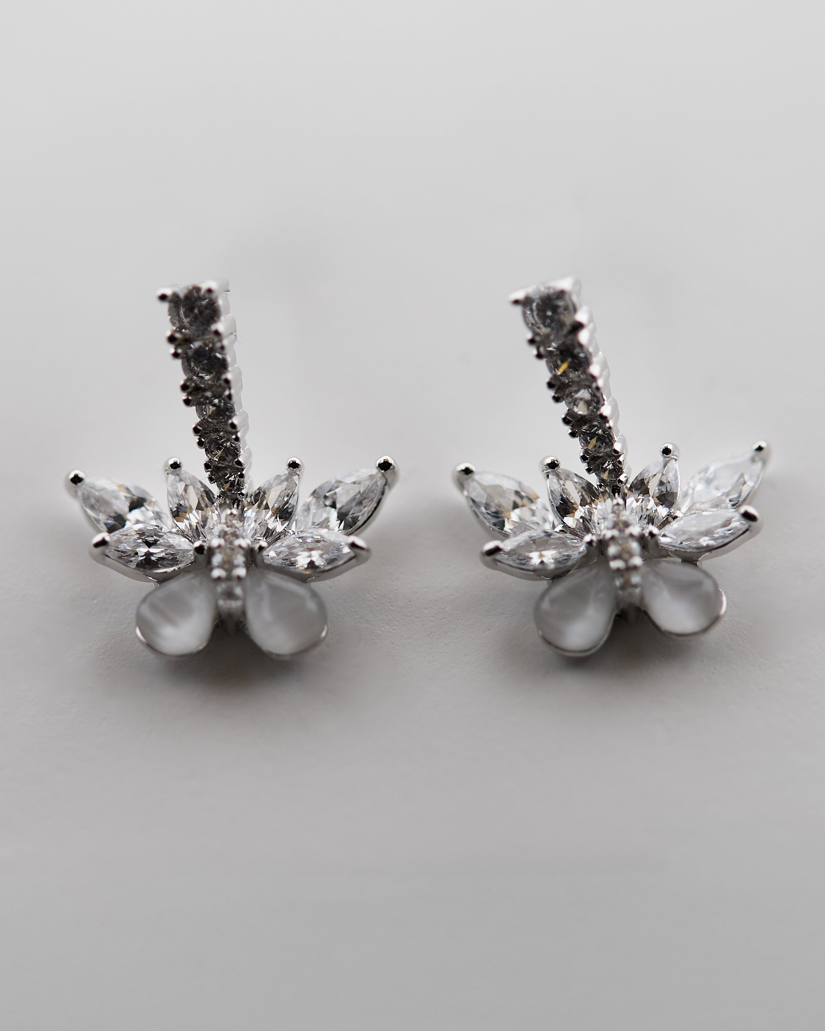 Feuilles de Givre Brisées