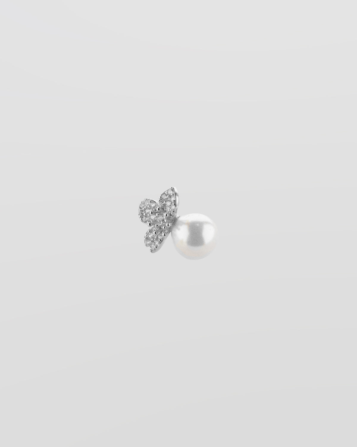 Fleur de Givre