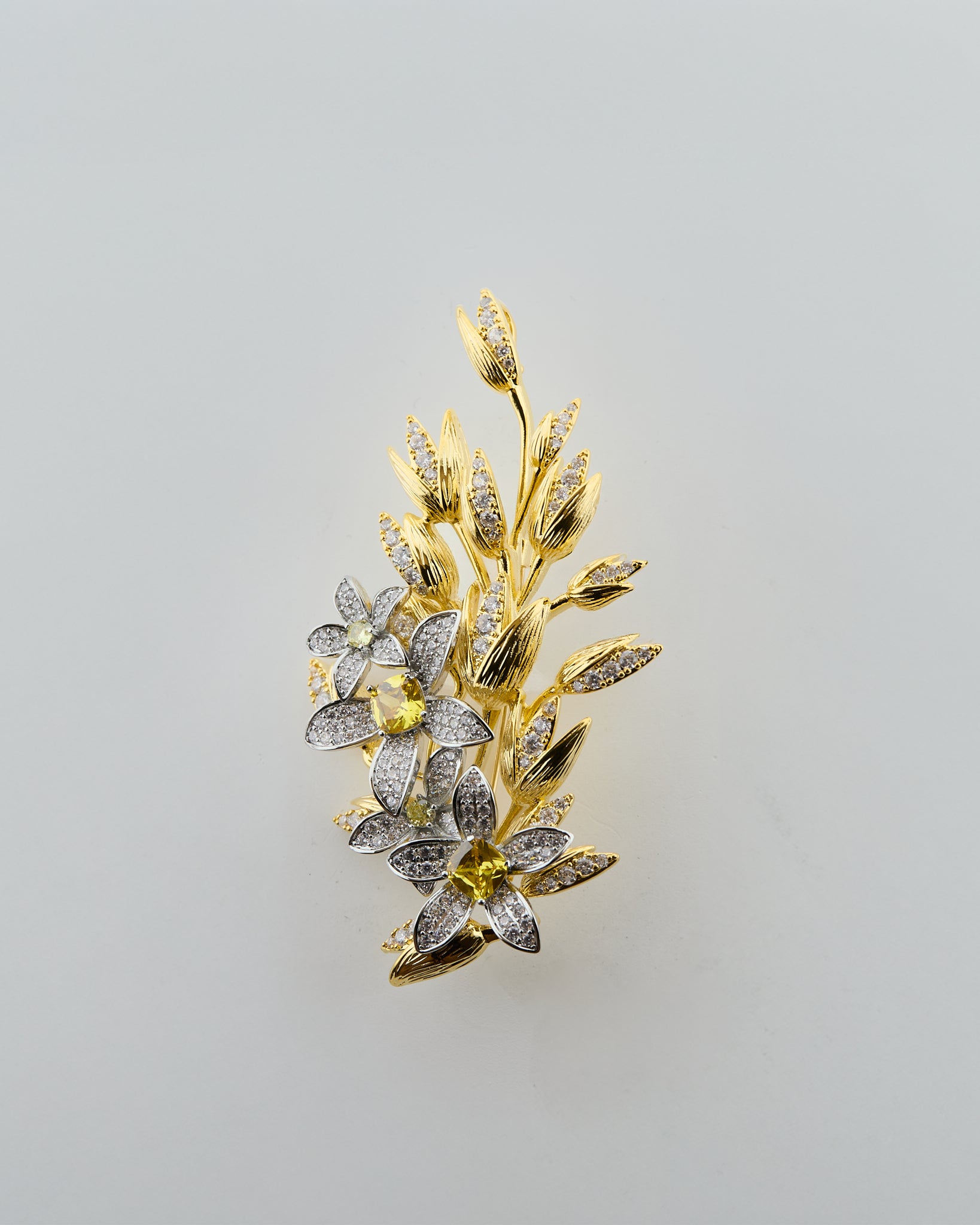 Floraison Épanouie