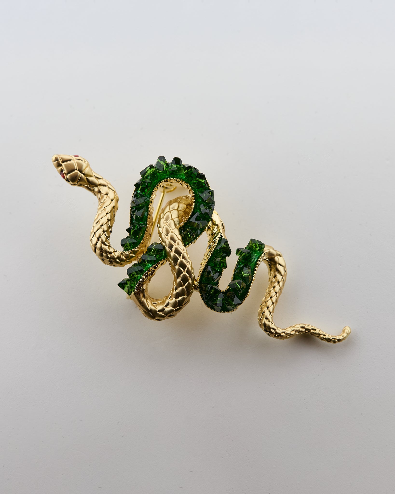 Serpent Vert Méditerranée